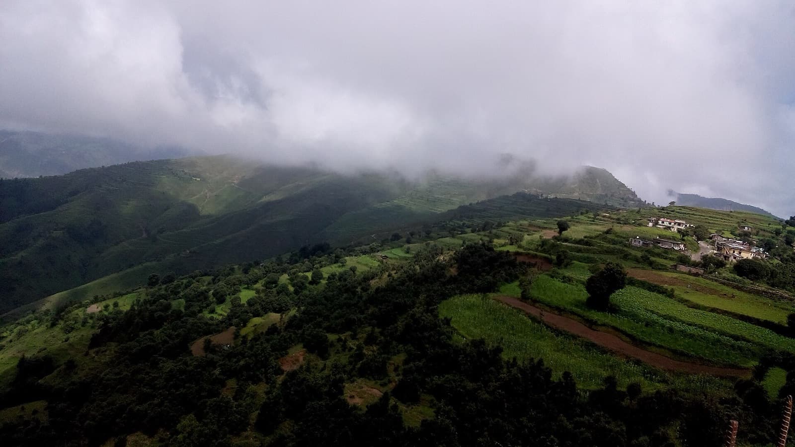 Terraced fields and forested hills around Chakrata under low monsoon cloud