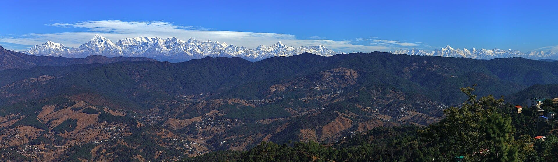 A clear autumn panorama of the Himalayan snow peaks above forested ridges in Uttarakhand