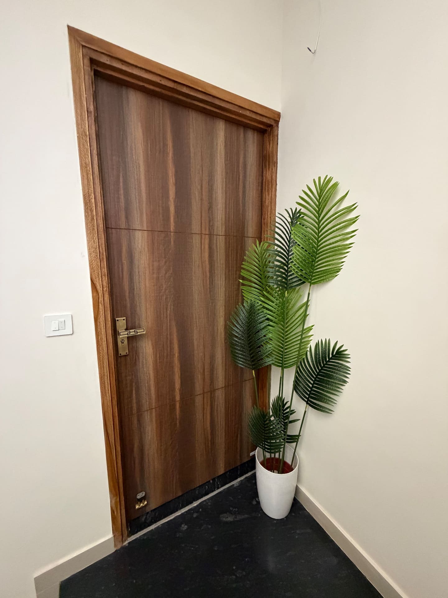 Boho by Starfish: Wooden entrance door beside a potted palm plant