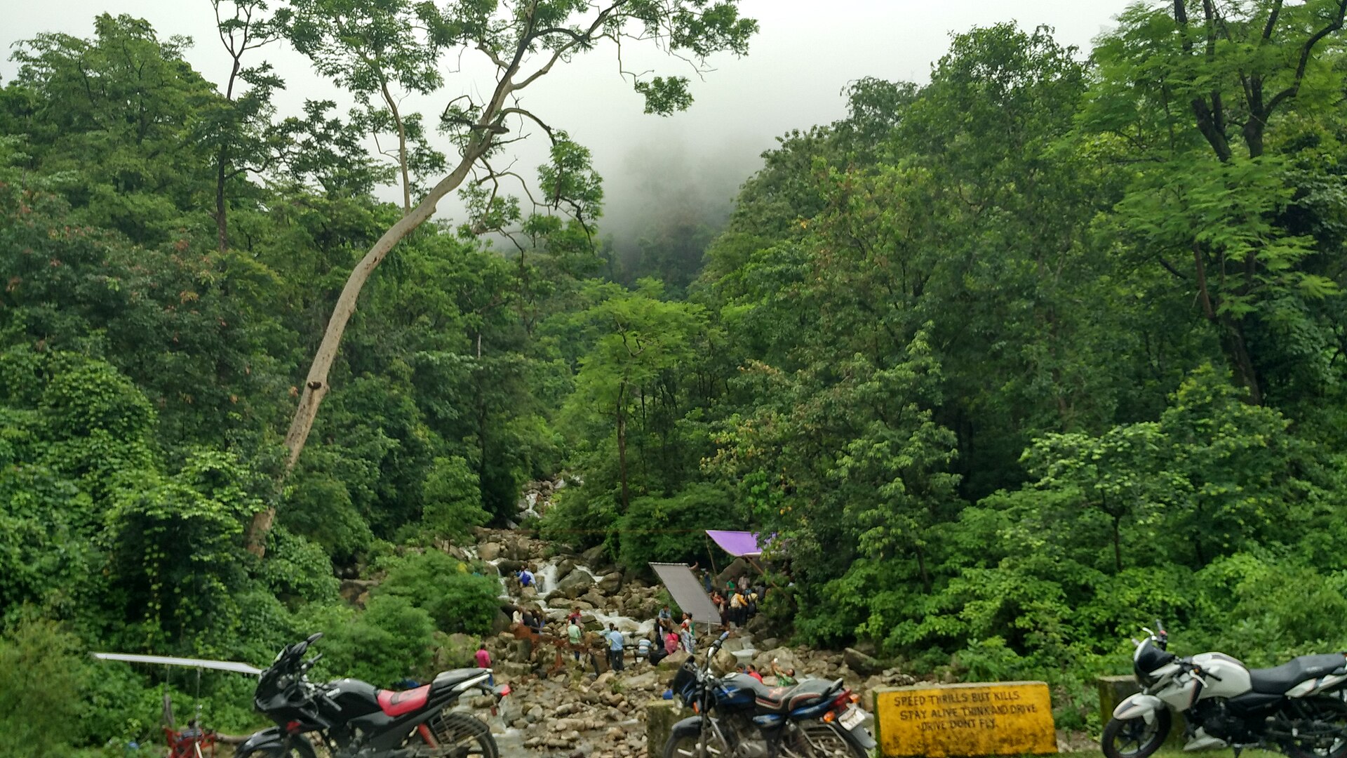 A misty forest and seasonal waterfall in the hills near Dehradun